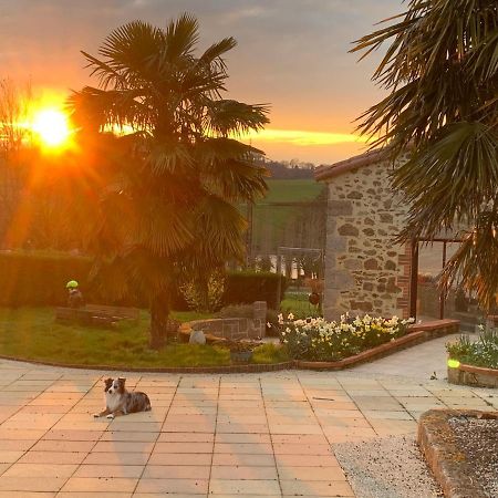 Bed and Breakfast La Basse Monniere Sevremont Екстер'єр фото