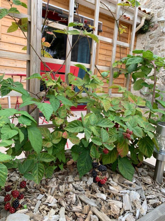 Bed and Breakfast La Basse Monniere Sevremont Екстер'єр фото